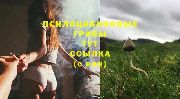 2c-b Ладушкин