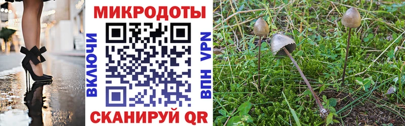 Купить где Ладушкин Галлюциногенные грибы Magic Shrooms